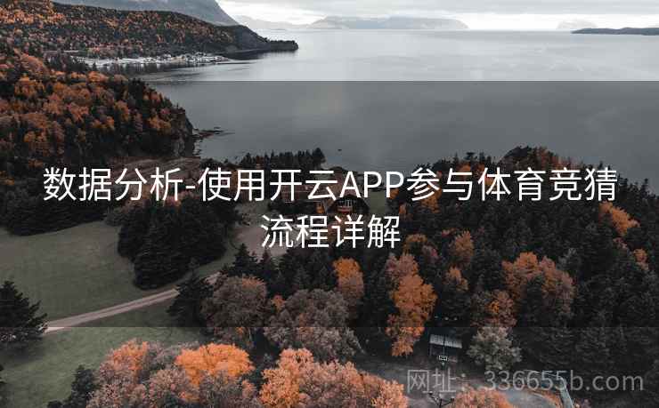 数据分析-使用开云APP参与体育竞猜流程详解