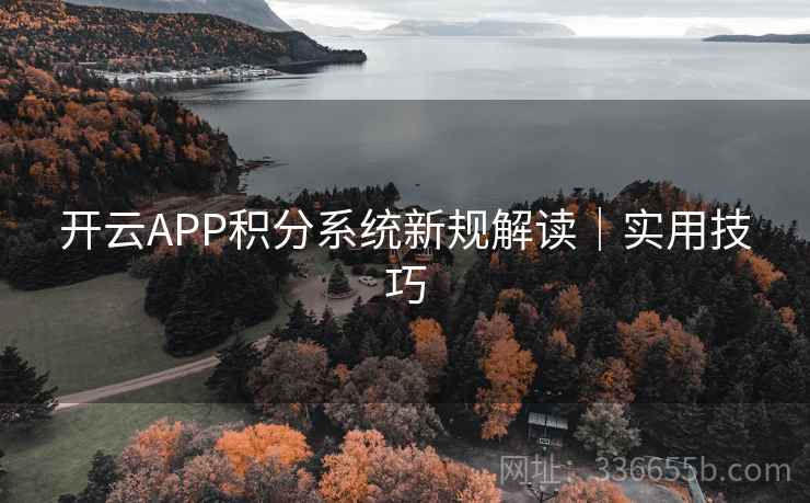 开云APP积分系统新规解读｜实用技巧  第2张