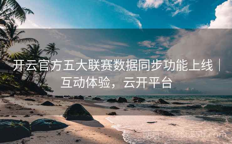 开云官方五大联赛数据同步功能上线|互动体验,云开平台