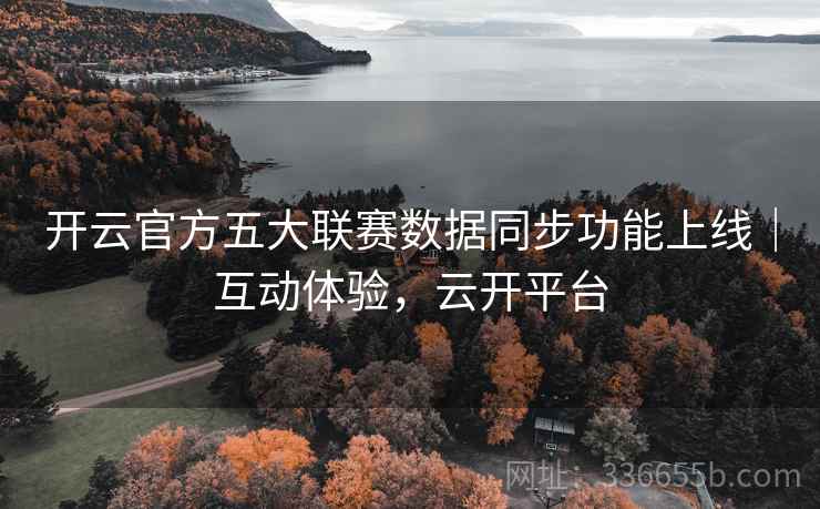开云官方五大联赛数据同步功能上线|互动体验,云开平台