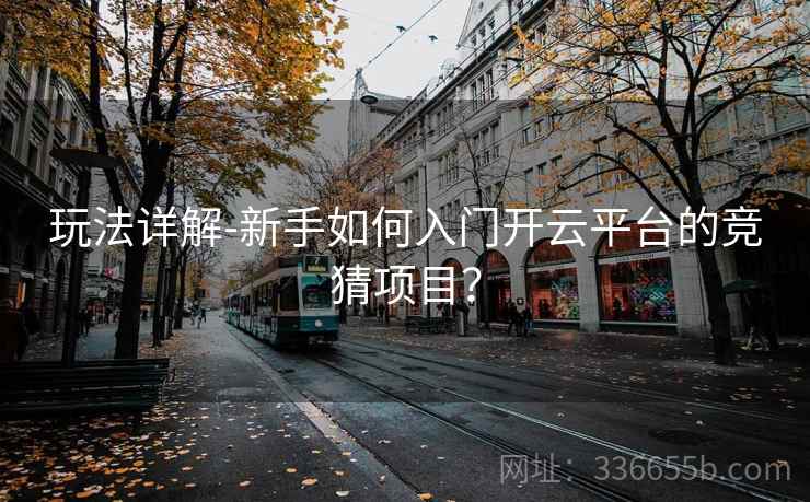 玩法详解-新手如何入门开云平台的竞猜项目?
