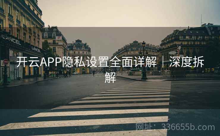 开云APP隐私设置全面详解|深度拆解