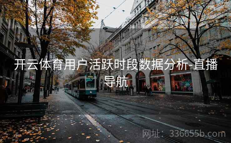 开云体育用户活跃时段数据分析-直播导航