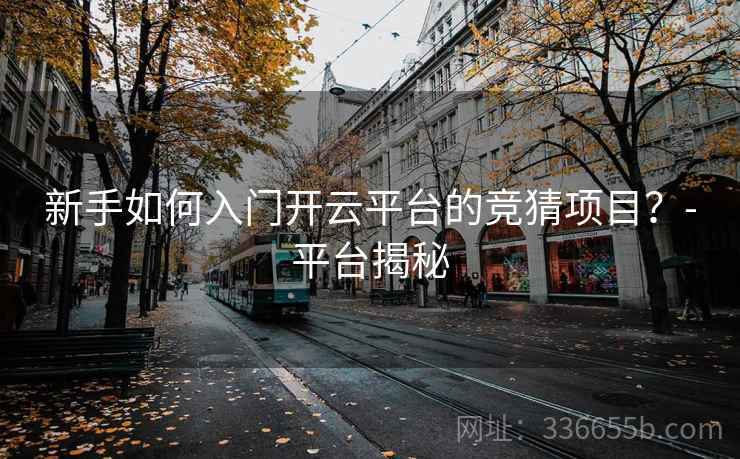新手如何入门开云平台的竞猜项目?-平台揭秘